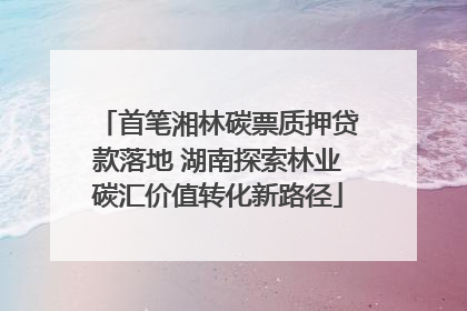 首笔湘林碳票质押贷款落地 湖南探索林业碳汇价值转化新路径