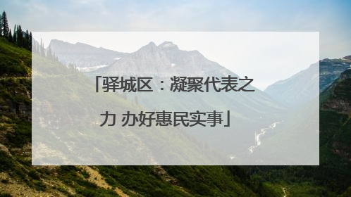 驿城区：凝聚代表之力 办好惠民实事