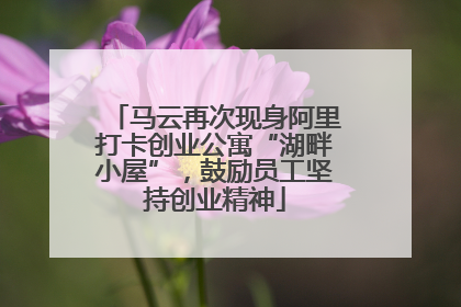 马云再次现身阿里打卡创业公寓“湖畔小屋”，鼓励员工坚持创业精神