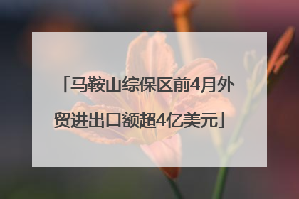 马鞍山综保区前4月外贸进出口额超4亿美元