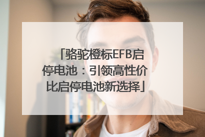 骆驼橙标EFB启停电池：引领高性价比启停电池新选择