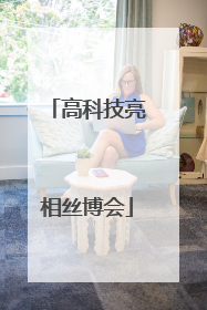 高科技亮相丝博会