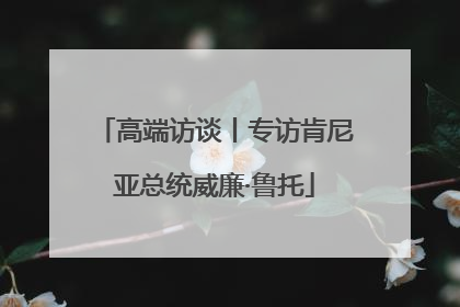 高端访谈丨专访肯尼亚总统威廉·鲁托