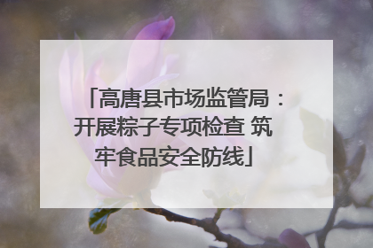 高唐县市场监管局：开展粽子专项检查 筑牢食品安全防线