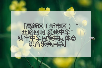 高新区（新市区）“丝路回响 爱我中华”铸牢中华民族共同体意识音乐会启幕