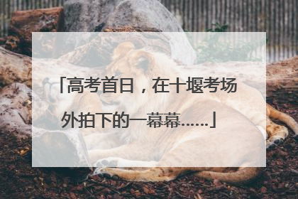 高考首日，在十堰考场外拍下的一幕幕……