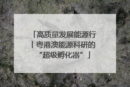 高质量发展能源行丨粤港澳能源科研的“超级孵化器”