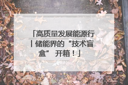 高质量发展能源行丨储能界的“技术盲盒” 开箱！
