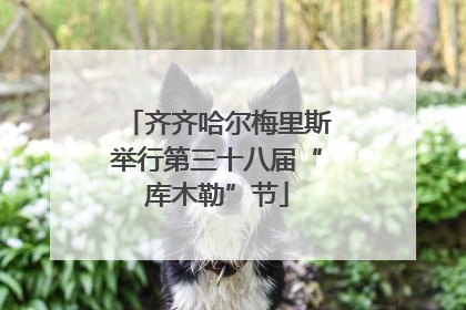 齐齐哈尔梅里斯举行第三十八届“库木勒”节