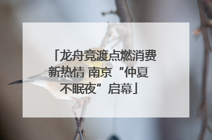 龙舟竞渡点燃消费新热情 南京“仲夏不眠夜”启幕