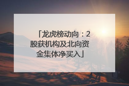 龙虎榜动向：2股获机构及北向资金集体净买入