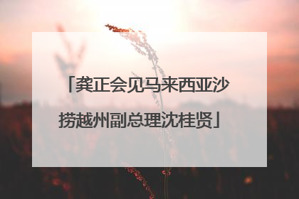 龚正会见马来西亚沙捞越州副总理沈桂贤