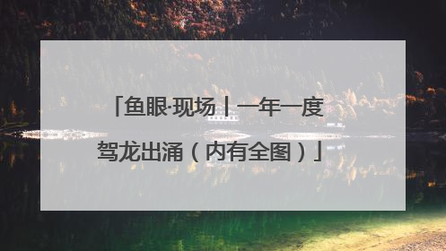 鱼眼·现场丨一年一度 驾龙出涌（内有全图）