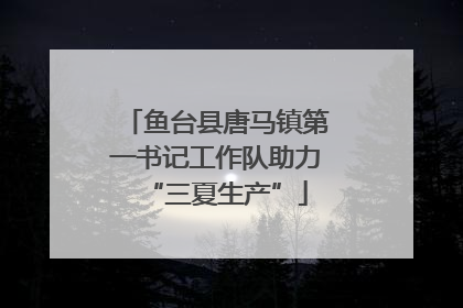 鱼台县唐马镇第一书记工作队助力“三夏生产”