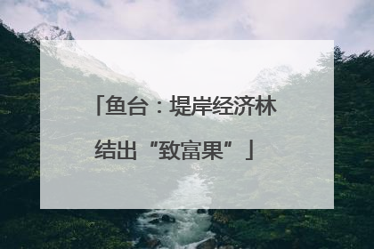 鱼台：堤岸经济林结出“致富果”