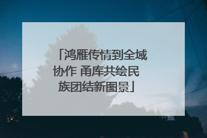 鸿雁传情到全域协作 甬库共绘民族团结新图景