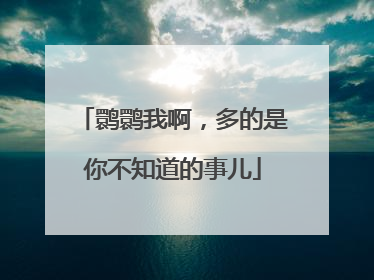 鹮鹮我啊，多的是你不知道的事儿