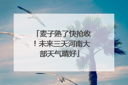 麦子熟了快抢收！未来三天河南大部天气晴好