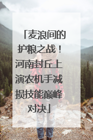 麦浪间的护粮之战！河南封丘上演农机手减损技能巅峰对决