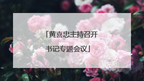 黄喜忠主持召开书记专题会议