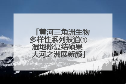 黄河三角洲生物多样性系列报道①湿地修复结硕果 大河之洲展新颜