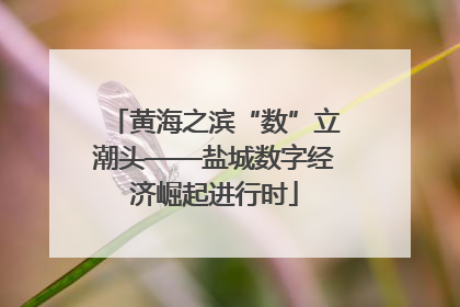 黄海之滨“数”立潮头——盐城数字经济崛起进行时