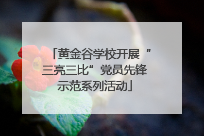 黄金谷学校开展“三亮三比”党员先锋示范系列活动