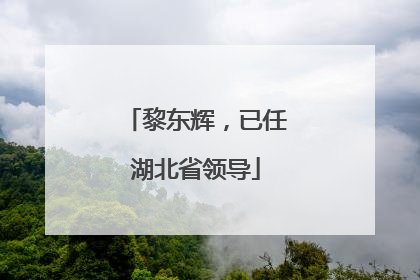 黎东辉，已任湖北省领导