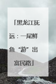 黑龙江抚远：一尾鲜鱼“游”出富民路