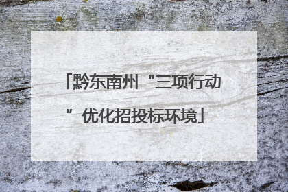 黔东南州“三项行动”优化招投标环境