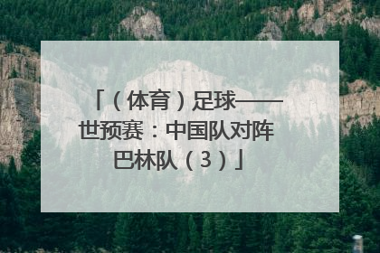 （体育）足球——世预赛：中国队对阵巴林队（3）