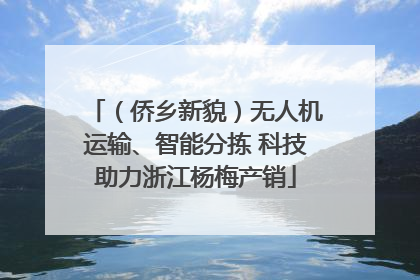 （侨乡新貌）无人机运输、智能分拣 科技助力浙江杨梅产销