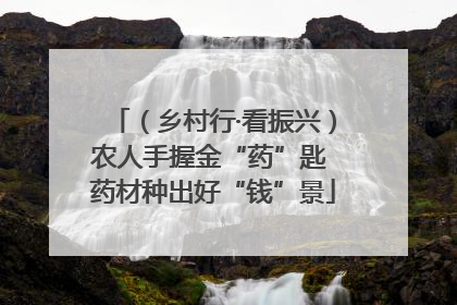 （乡村行·看振兴）农人手握金“药”匙 药材种出好“钱”景