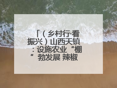 （乡村行·看振兴）山西天镇：设施农业“棚”勃发展 辣椒产业蓄势待发