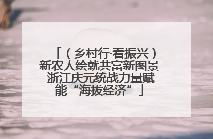 （乡村行·看振兴）新农人绘就共富新图景 浙江庆元统战力量赋能“海拔经济”