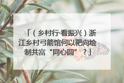 （乡村行·看振兴）浙江乡村弓箭馆何以靶向绘制共富“同心圆”？