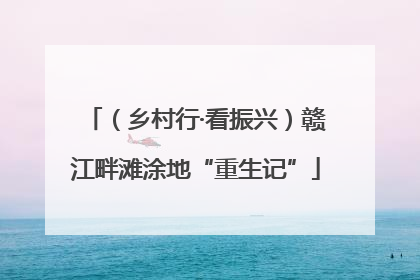 （乡村行·看振兴）赣江畔滩涂地“重生记”