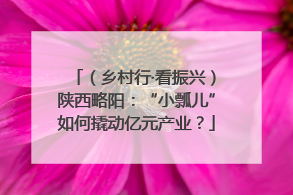 （乡村行·看振兴）陕西略阳：“小瓢儿”如何撬动亿元产业？