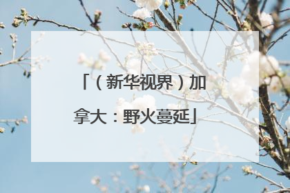（新华视界）加拿大：野火蔓延