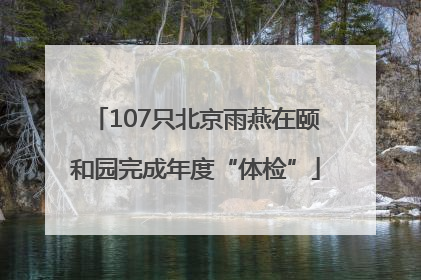 107只北京雨燕在颐和园完成年度“体检”