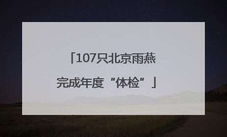 107只北京雨燕完成年度“体检”