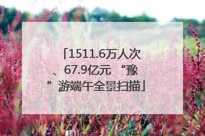 1511.6万人次、67.9亿元 “豫”游端午全景扫描