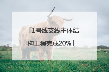 1号线支线主体结构工程完成20%