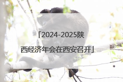 2024-2025陕西经济年会在西安召开