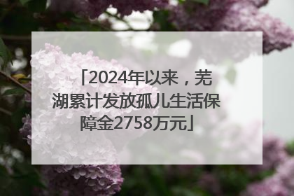 2024年以来，芜湖累计发放孤儿生活保障金2758万元