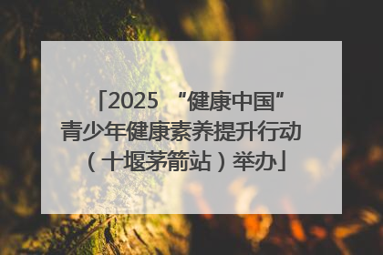 2025 “健康中国” 青少年健康素养提升行动（十堰茅箭站）举办