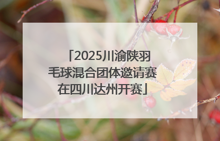 2025川渝陕羽毛球混合团体邀请赛在四川达州开赛