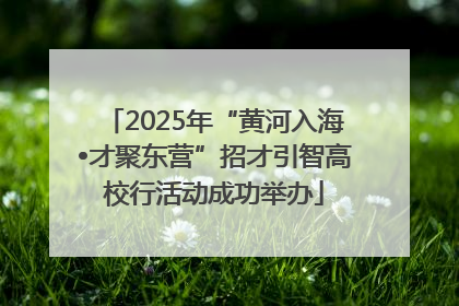 2025年“黄河入海•才聚东营”招才引智高校行活动成功举办