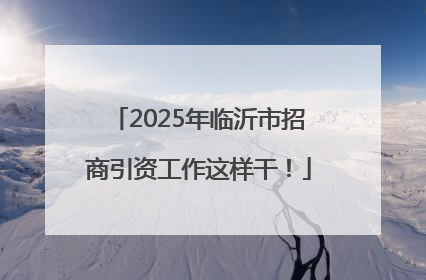 2025年临沂市招商引资工作这样干！