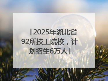 2025年湖北省92所技工院校，计划招生6万人